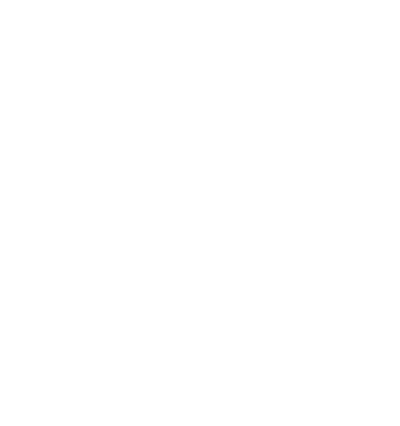 flower-17