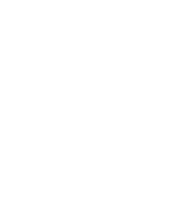 flower-17